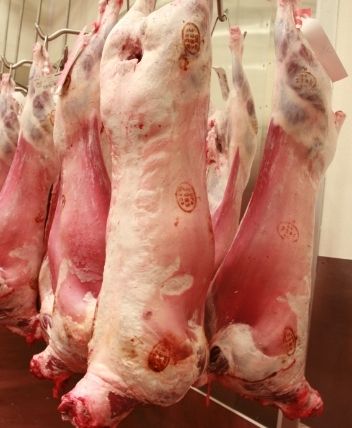 abate da carne abate da carne